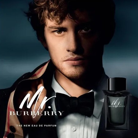 MR BURBERRY EDP               